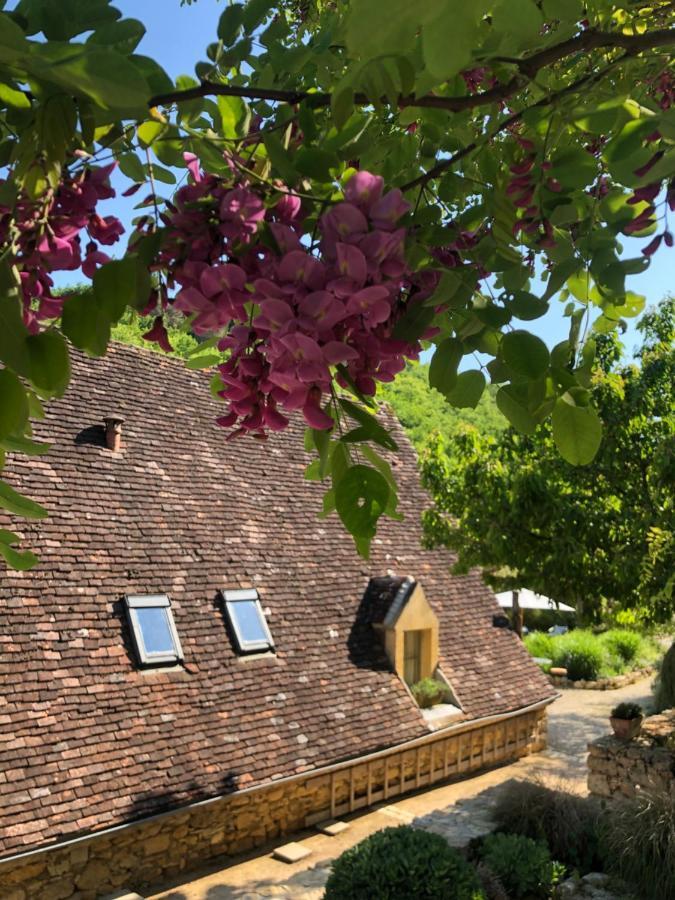 La Tour De Cause Bed & Breakfast Castelnaud La Chapelle Exterior photo