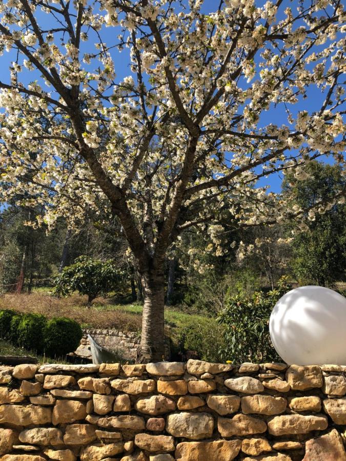 La Tour De Cause Bed & Breakfast Castelnaud La Chapelle Exterior photo